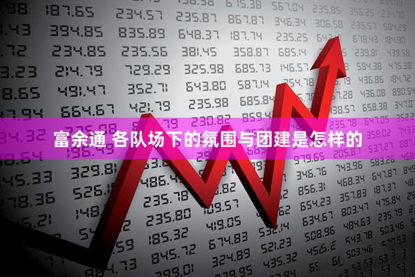 富余通 各队场下的氛围与团建是怎样的