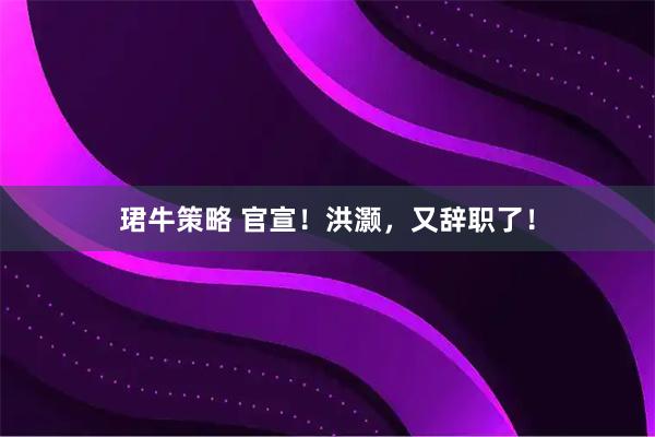 珺牛策略 官宣！洪灏，又辞职了！