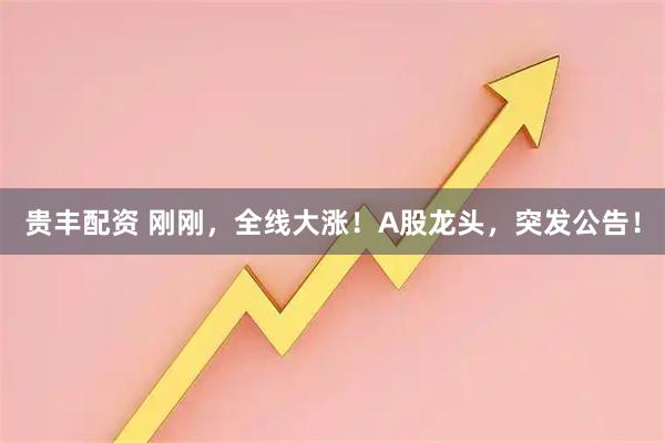 贵丰配资 刚刚，全线大涨！A股龙头，突发公告！